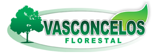 Vasconcelos Florestal